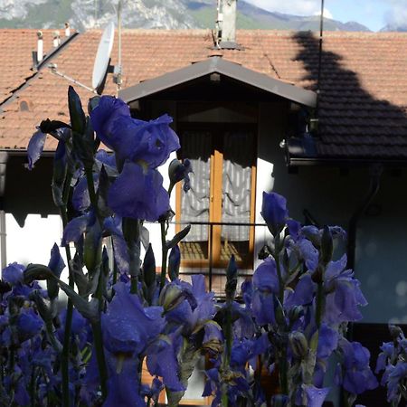 Appartamento Al Forte Torbole Sul Garda Exterior foto